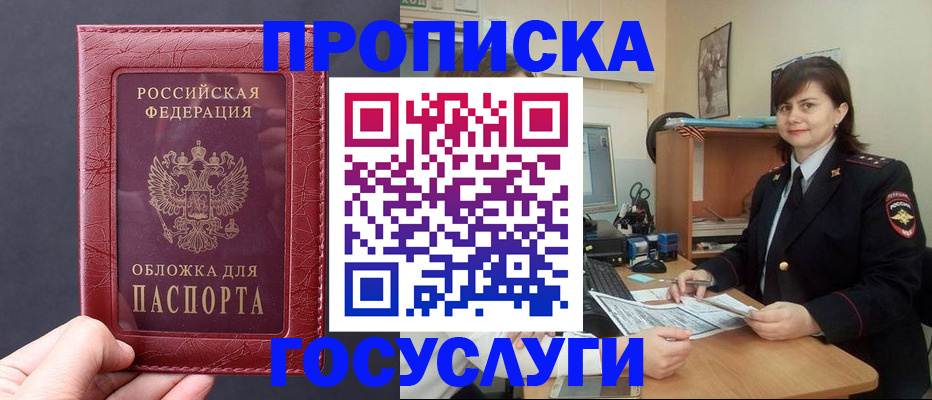 прописка штамп в Лузе